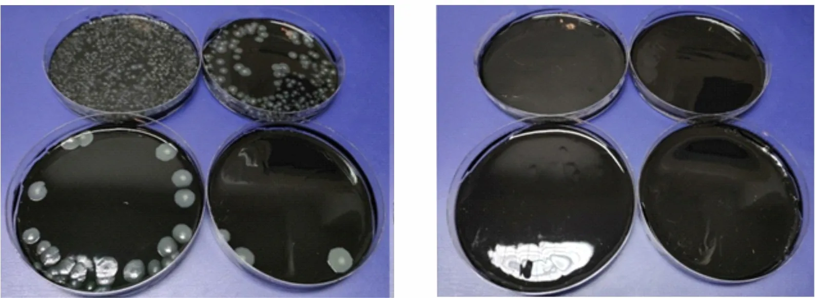 Potrubí ARIA CONNECT bez bakterií Legionella